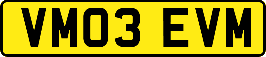 VM03EVM