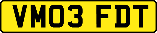VM03FDT