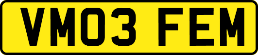 VM03FEM