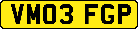 VM03FGP