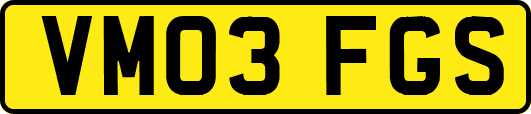 VM03FGS