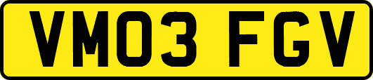 VM03FGV