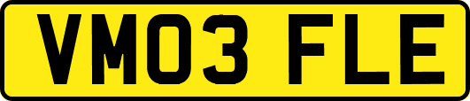 VM03FLE