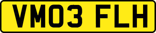 VM03FLH