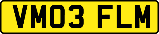 VM03FLM