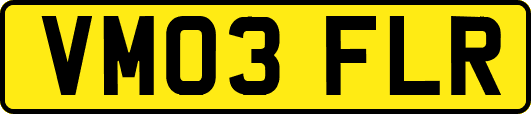 VM03FLR