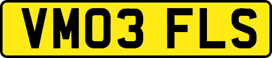 VM03FLS