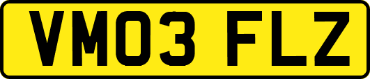 VM03FLZ
