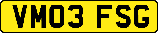 VM03FSG