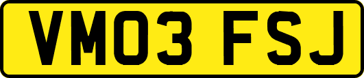 VM03FSJ
