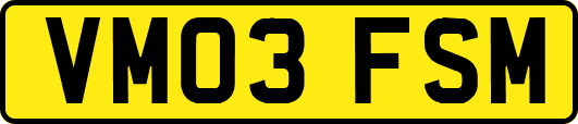 VM03FSM