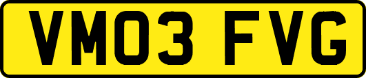 VM03FVG
