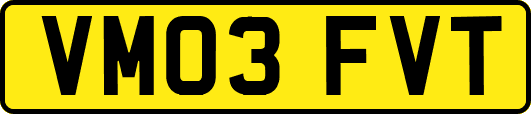 VM03FVT