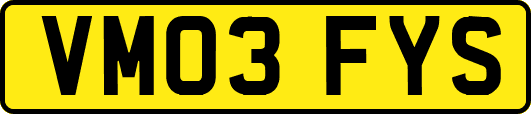 VM03FYS
