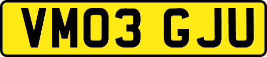 VM03GJU