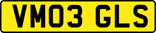 VM03GLS