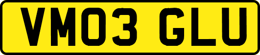VM03GLU