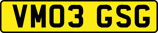 VM03GSG