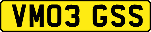 VM03GSS
