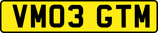 VM03GTM