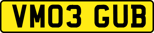 VM03GUB