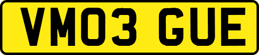 VM03GUE