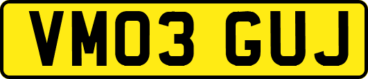 VM03GUJ