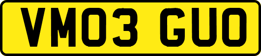 VM03GUO