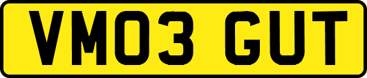 VM03GUT