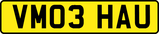 VM03HAU