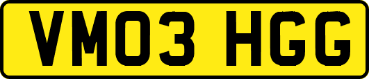 VM03HGG