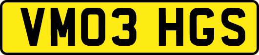 VM03HGS