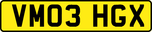 VM03HGX