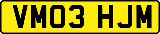 VM03HJM