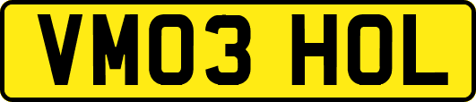 VM03HOL