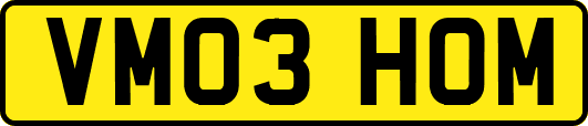 VM03HOM