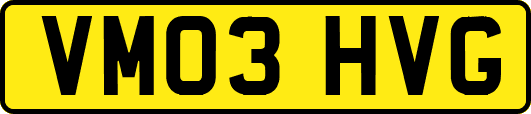 VM03HVG