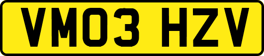 VM03HZV