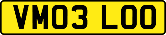 VM03LOO