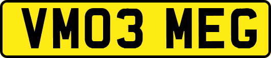 VM03MEG