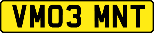 VM03MNT