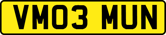 VM03MUN