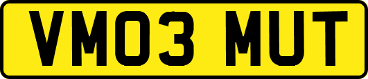 VM03MUT
