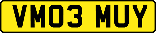 VM03MUY