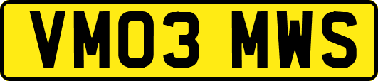 VM03MWS