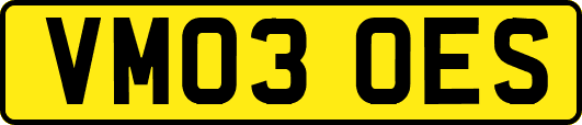 VM03OES