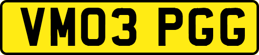 VM03PGG
