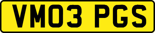 VM03PGS
