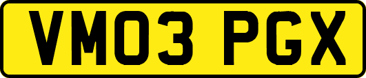 VM03PGX