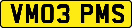 VM03PMS